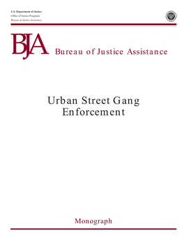 Urban Street Gang Enforcement