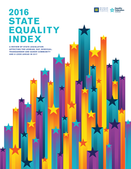2016 State Equality Index