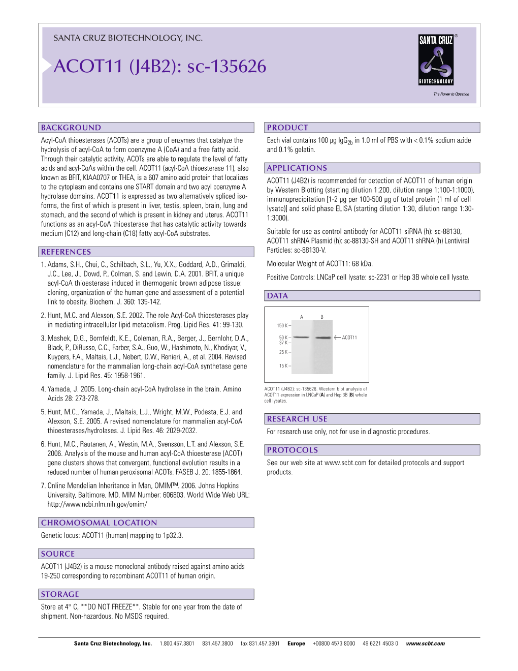 Datasheet Blank Template