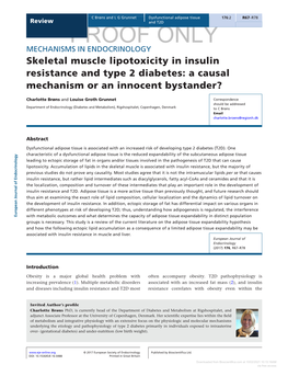 Skeletal Muscle Lipotoxicity in Insulin Resistance and Type 2 Diabetes: a Causal Mechanism Or an Innocent Bystander?