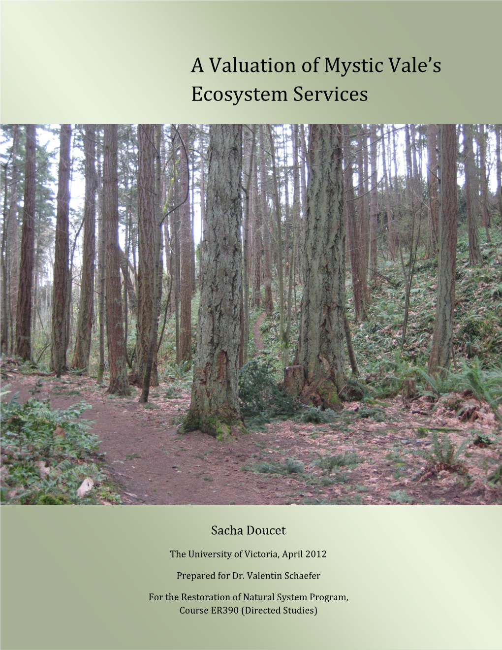 A Valuation of Mystic Vale's Ecosystem Services