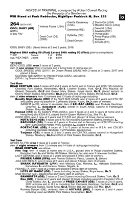 HORSE in TRAINING, Consigned by Robert Cowell Racing the Property of a Gentleman Will Stand at Park Paddocks, Highflyer Paddock M, Box 233