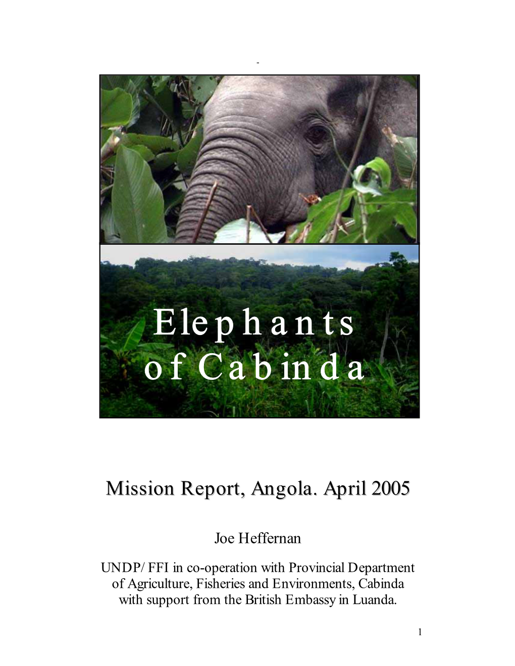 Elephants of Cabinda
