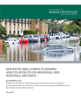 Houston-Area Surge Flooding and Its Effects on Regional and National Security