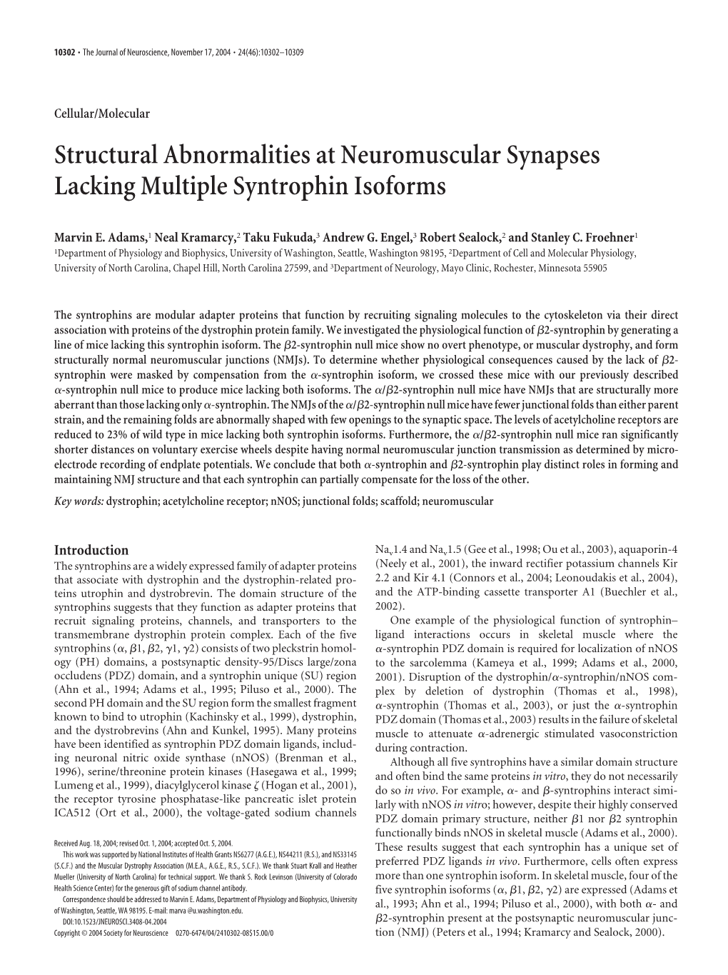 Structural Abnormalities at Neuromuscular Synapses Lacking Multiple Syntrophin Isoforms