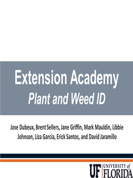 Plant and Weed Identification Presentation