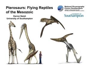 Pterosaurs: Flying Reptiles of the Mesozoic Darren Naish University of Southampton