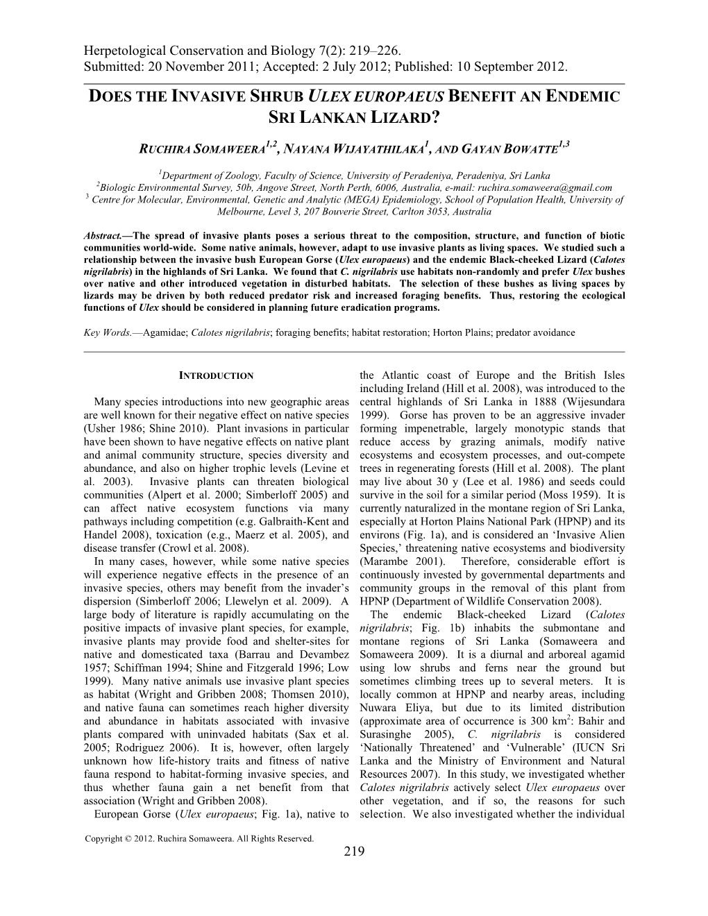 Does the Invasive Shrub Ulex Europaeus Benefit an Endemic Sri Lankan Lizard?