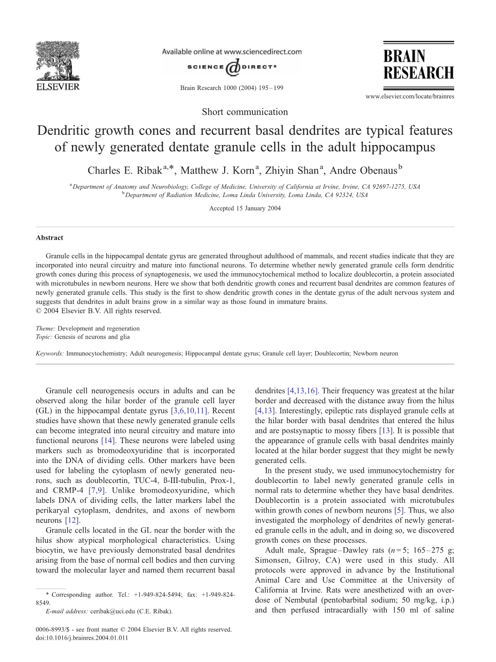 Dendritic Growth Cones and Recurrent Basal Dendrites Are Typical Features of Newly Generated Dentate Granule Cells in the Adult Hippocampus