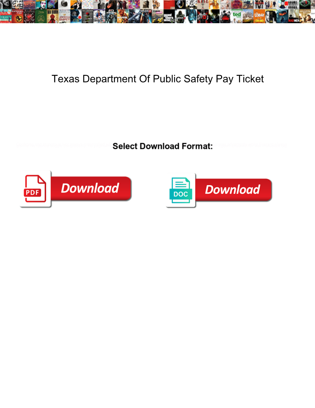 Texas Department of Public Safety Pay Ticket