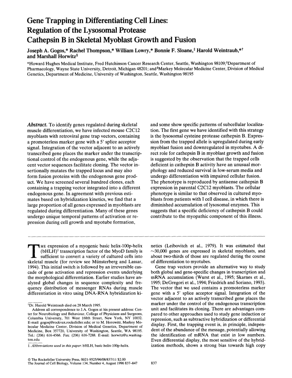 Gene Trapping in Differentiating Cell Lines: Regulation of the Lysosomal Protease Cathepsin B in Skeletal Myoblast Growth and Fusion Joseph A