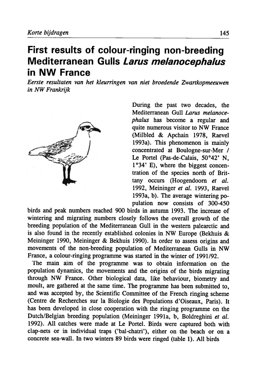 Of Colour-Ringing Non-Breeding Melanocephalus