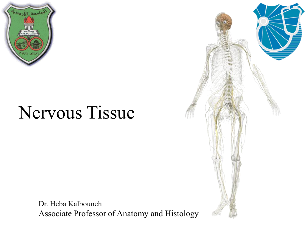 Histology of Nervous System