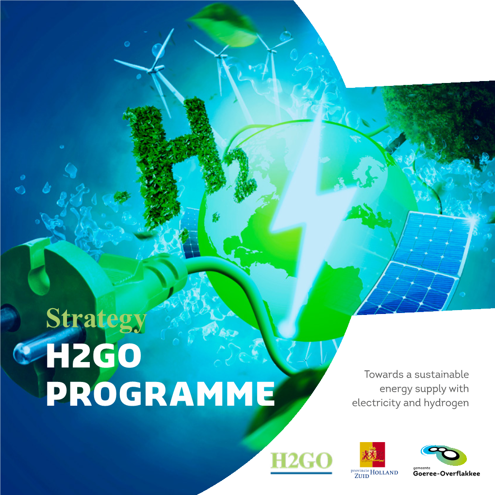 Strategy H2GO Towards a Sustainable Energy Supply with PROGRAMME Electricity and Hydrogen Introduction