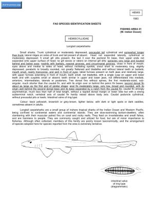 (W. Indian Ocean) HEMISCYLLIIDAE Longtail Carpetsharks Small Sharks