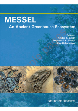 MESSEL an Ancient Greenhouse Ecosystem