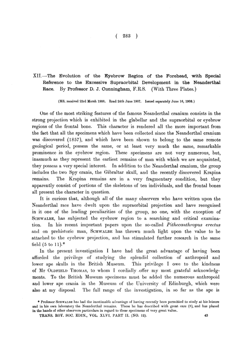 The Evolution of the Eyebrow Region of the Forehead, with Special Reference to the Excessive Supraorbital Development in the Neanderthal Race