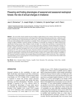 Flowering and Fruiting Phenologies of Seasonal and Aseasonal Neotropical Forests: the Role of Annual Changes in Irradiance