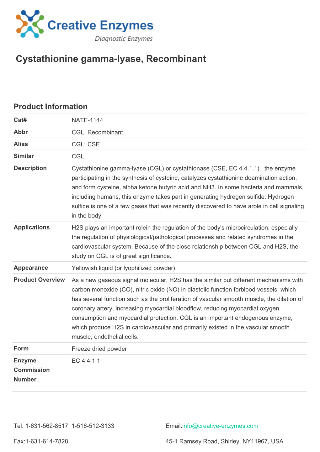 Cystathionine Gamma-Lyase, Recombinant