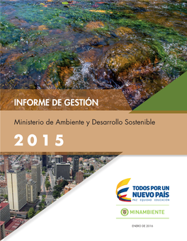 Informe De Gestión MADS 2015