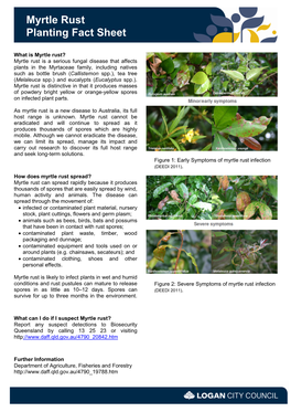 Myrtle Rust Planting Fact Sheet