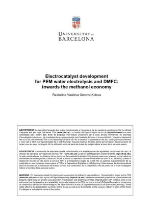 Electrocatalyst Development for PEM Water Electrolysis and DMFC: Towards the Methanol Economy