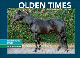 OLDEN TIMES Bay 1998 16.1Hh by Darshaan – Garah (Ajdal)