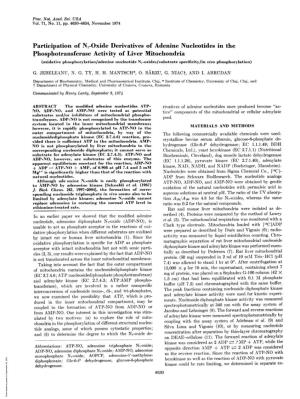 Phosphotransferase Activity of Liver Mitochondria (Oxidative Phosphorylation/Adenine Nucleotide Ni-Oxides/Substrate Specificity/In Vivo Phosphorylation) G