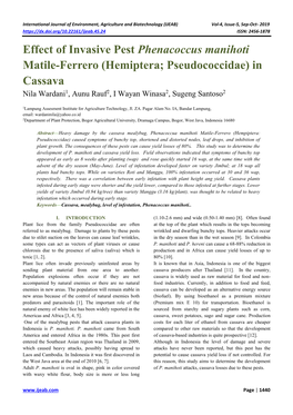 Effect of Invasive Pest Phenacoccus Manihoti Matile-Ferrero (Hemiptera; Pseudococcidae) in Cassava Nila Wardani1, Aunu Rauf2, I Wayan Winasa2, Sugeng Santoso2