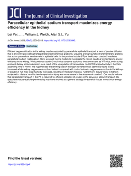 Paracellular Epithelial Sodium Transport Maximizes Energy Efficiency in the Kidney