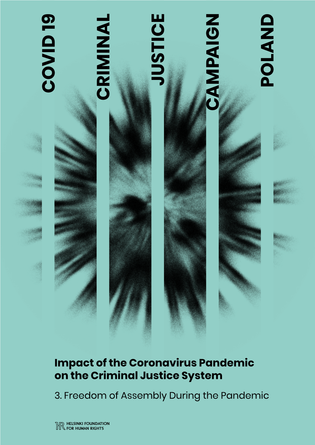 Freedom of Assembly During the Pandemic 2 1