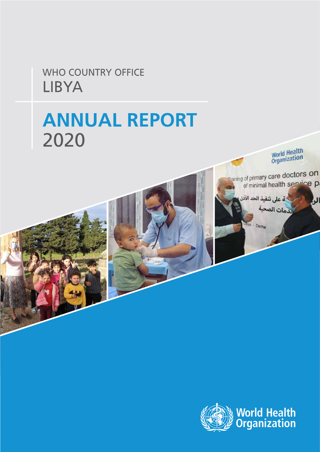 Annual Libya Report