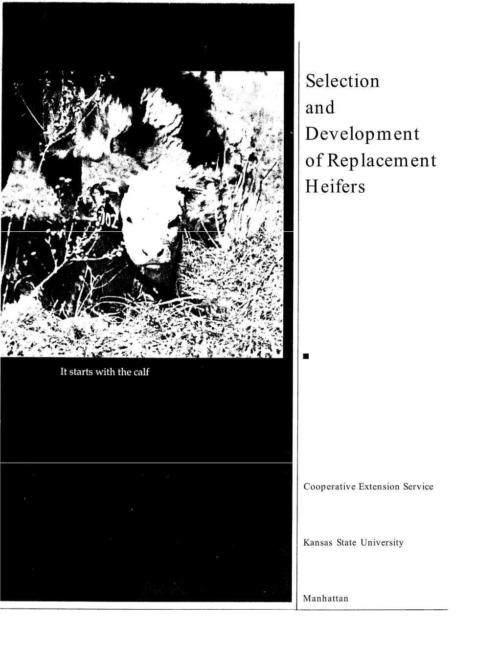 C841 Selection and Development of Replacement Heifers
