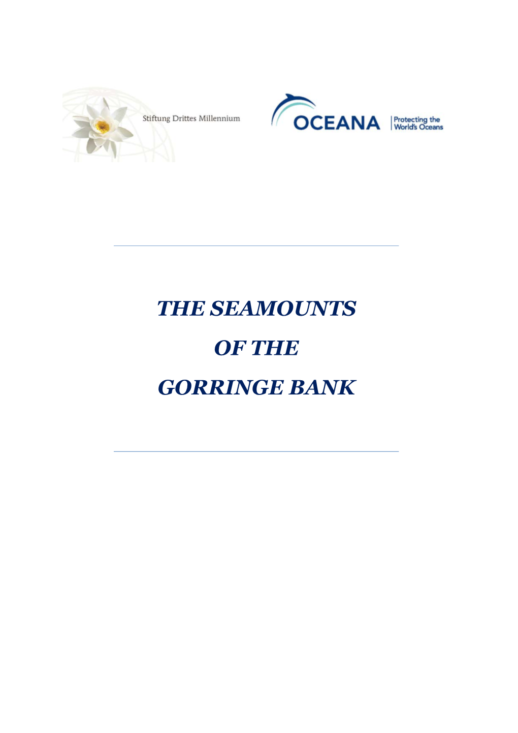 The Seamounts of the Gorringe Bank