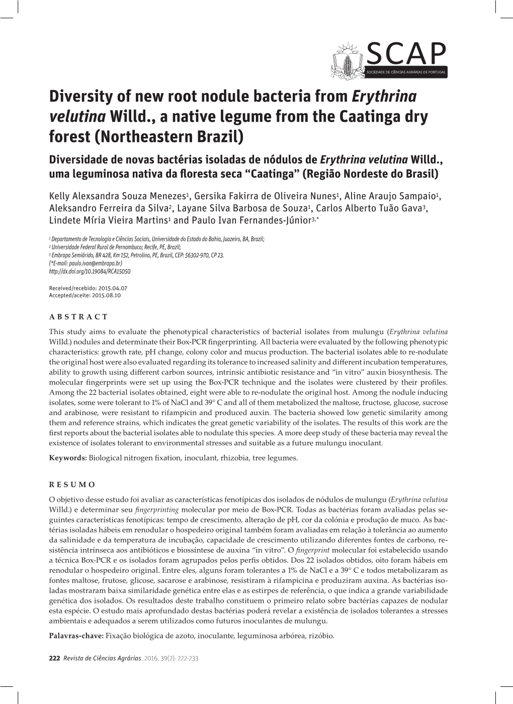 Diversity of New Root Nodule Bacteria from Erythrina Velutina Willd., A