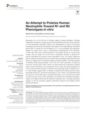 An Attempt to Polarize Human Neutrophils Toward N1 and N2 Phenotypes in Vitro