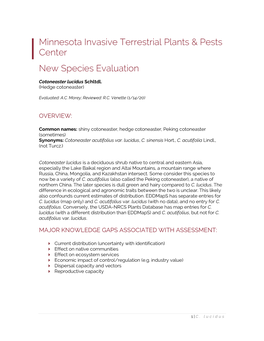 Cotoneaster Lucidus-Assessment.Pdf