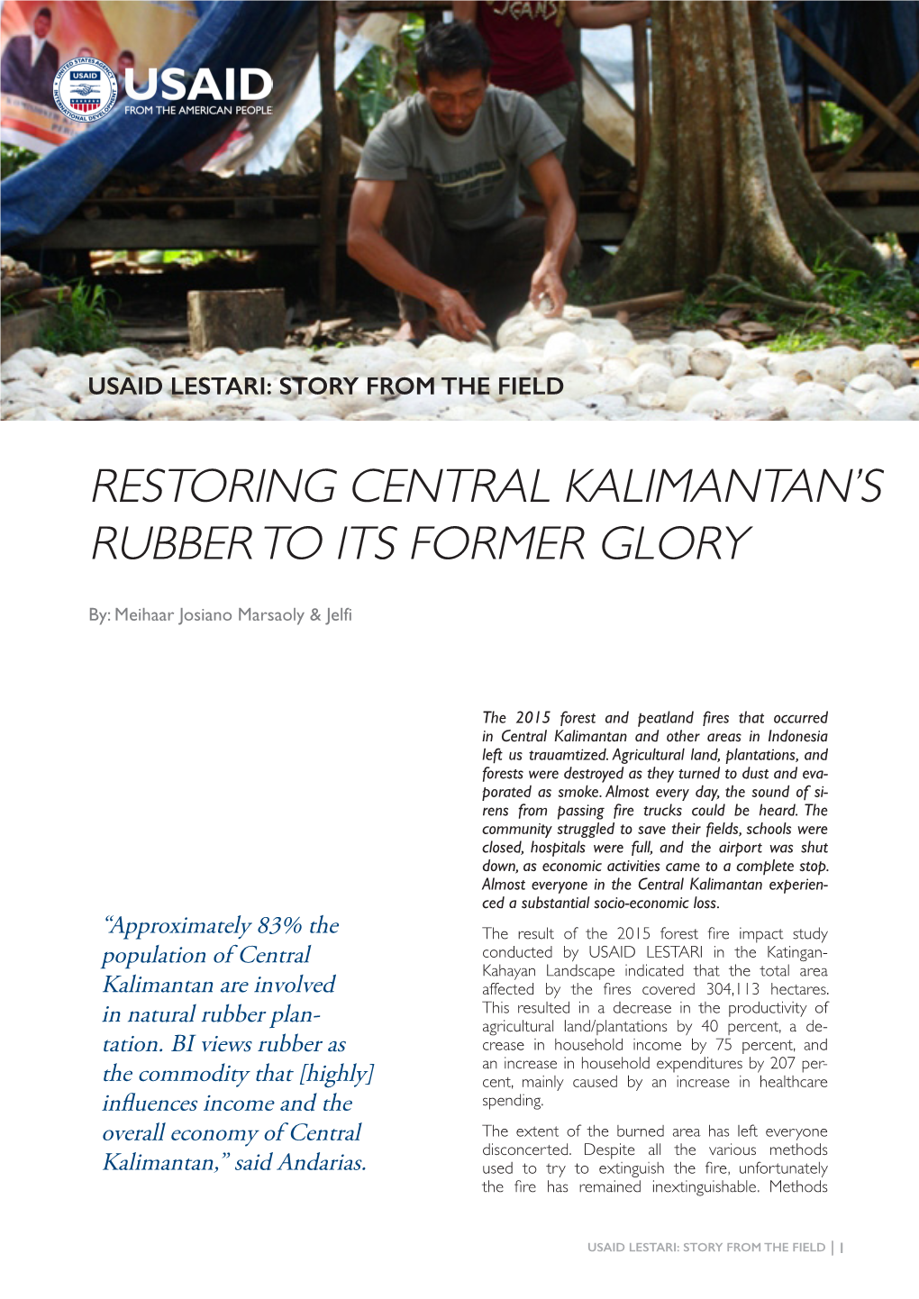 Restoring Central Kalimantan's Rubber to Its