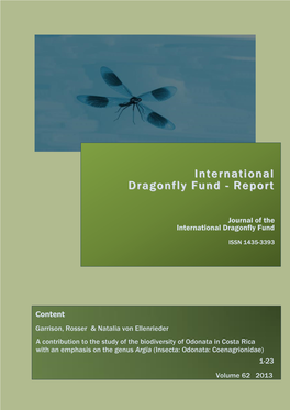 IDF-Report 62 (2013)