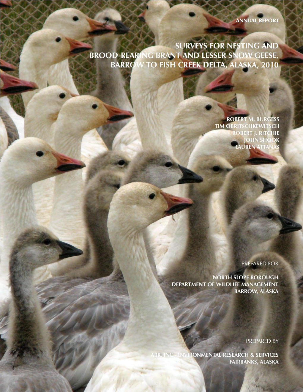 Surveys for Nesting and Brood-Rearing Brant and Lesser Snow Geese, Barrow to Fish Creek Delta, Alaska, 2010