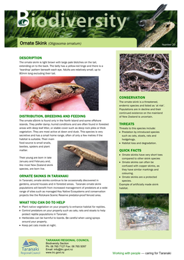 Biodiversity Information Sheet: Ornate Skink