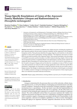 Tissue-Specific Knockdown of Genes of the Argonaute Family Modulates