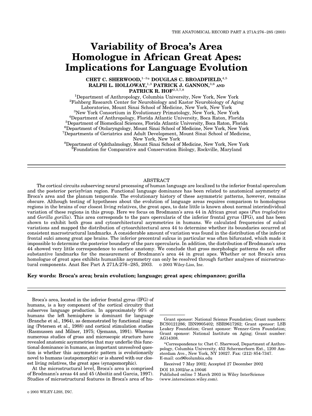 Variability of Broca's Area Homologue in African Great Apes: Implications