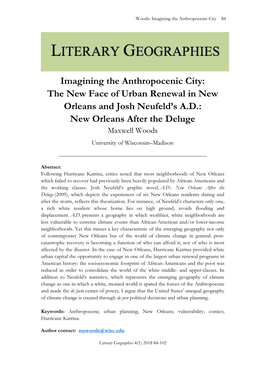 Imagining the Anthropocenic City: the New Face of Urban Renewal In