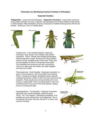 Characters for Identifying Common Families of Orthoptera Suborder