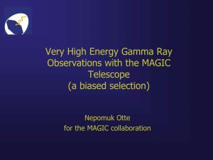 Very High Energy Gamma Ray Observations with the MAGIC Telescope (A Biased Selection)