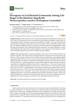 Divergence in Gut Bacterial Community Among Life Stages of the Rainbow Stag Beetle Phalacrognathus Muelleri (Coleoptera: Lucanidae)