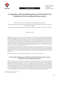 A Comparative Study of Parthenogenetic Activation and in Vitro Fertilization of in Vitro Matured Bovine Oocytes