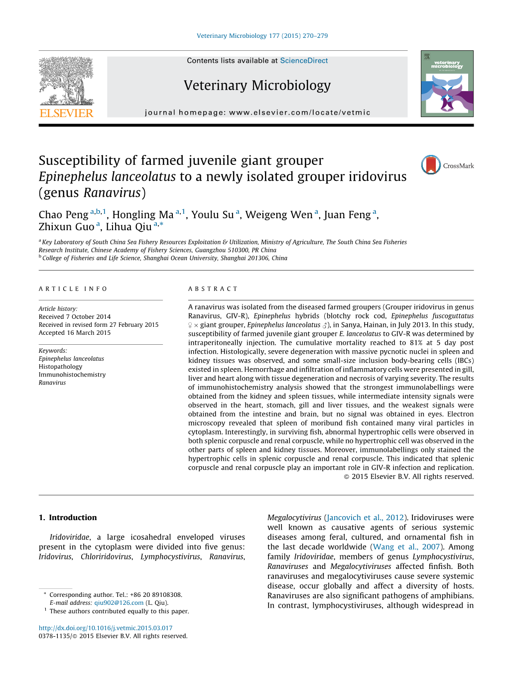 Susceptibility of Farmed Juvenile Giant Grouper Epinephelus Lanceolatus To