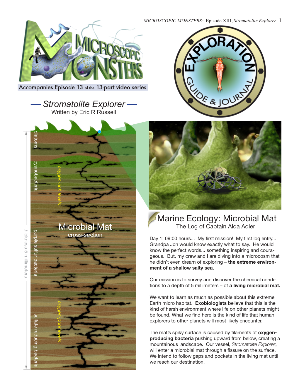 Stromatolite Explorer Microbial Mat Marine Ecology: Microbial